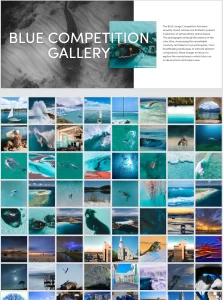 Blue Gallery Competition (1)