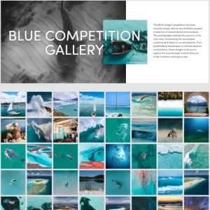 Blue Gallery Competition_1